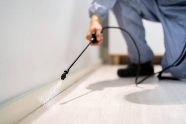 Licensed Exterminator service in Pierce, CO - Show Me Pest Control