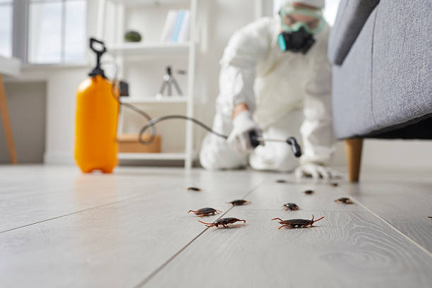 Commercial Rodent Management in Pierce